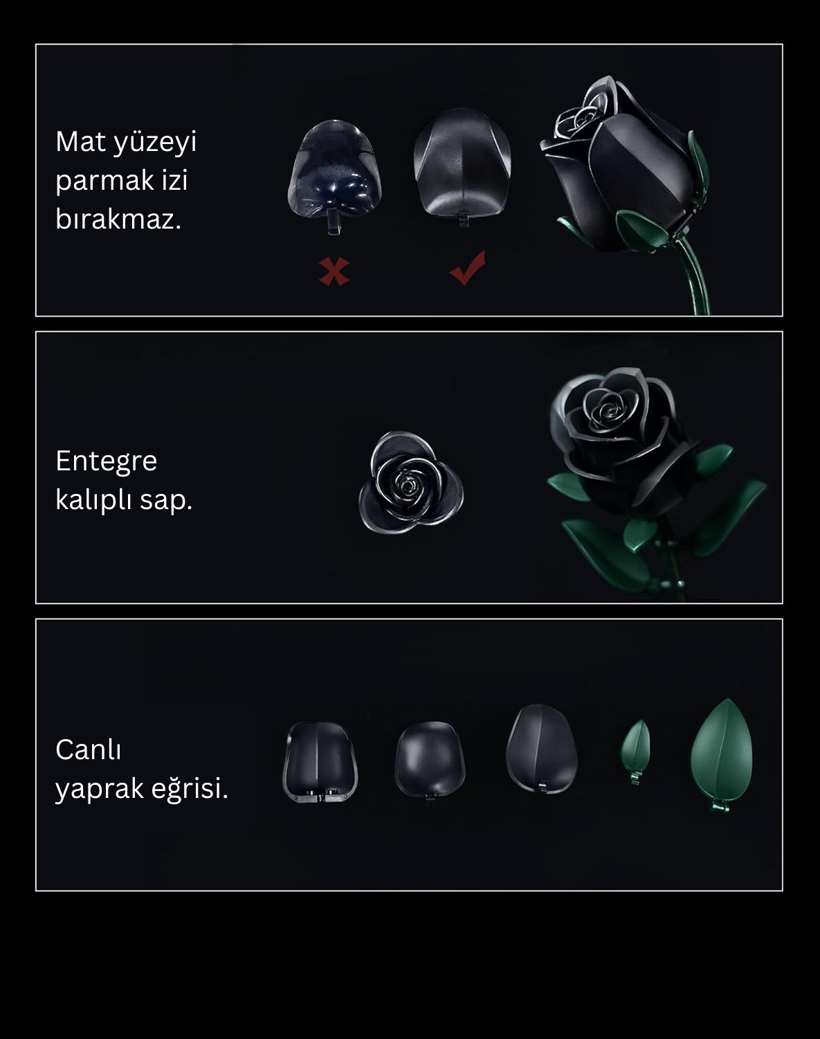 Solmayan Aşk – Siyah Gül