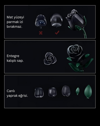 Solmayan Aşk – Siyah Gül